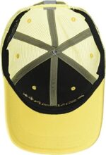 Carhartt Men’s Canvas Mesh-Back Logo Graphic Cap